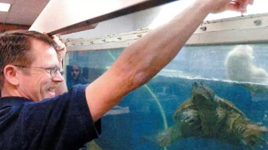 Teacher Who Fed Puppy To Snapping Turtle In Classroom Found Not Guilty Of Animal Cruelty 