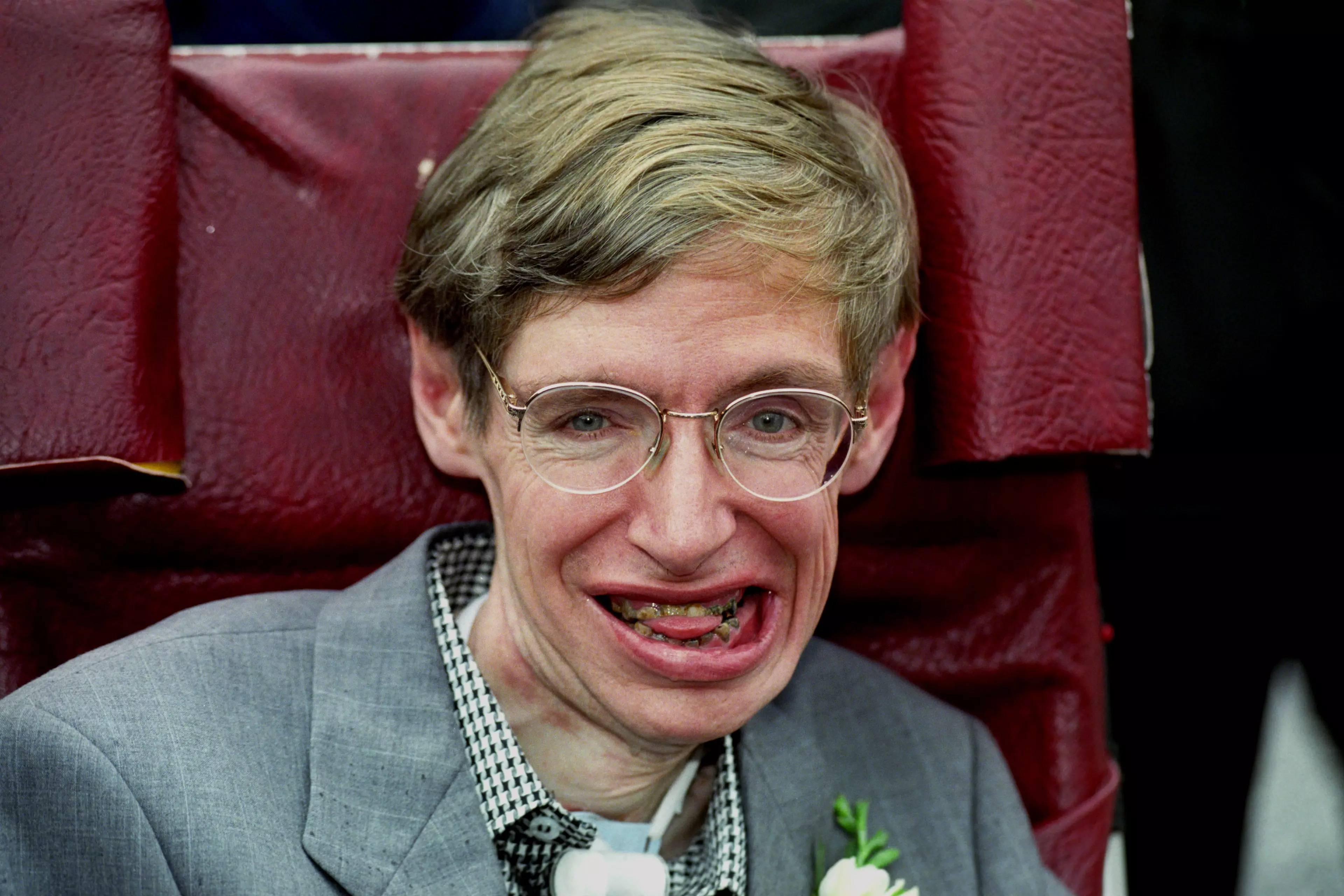 Stephen Hawking in 1995.