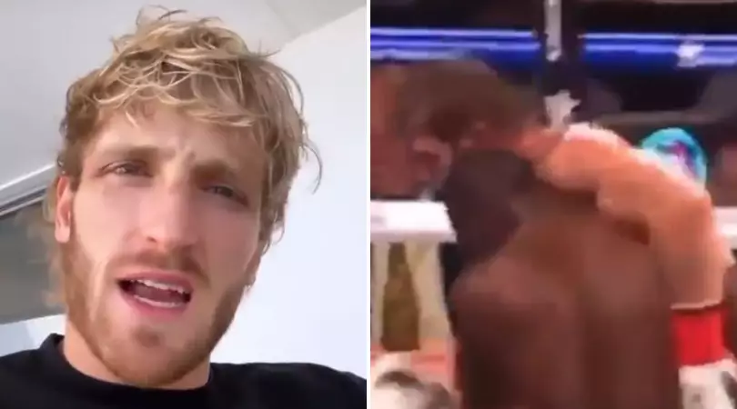 Logan Paul Breaks Silence On Conspiracy Theories That Floyd Mayweather 'Held Him Up After Knocking Him Out'