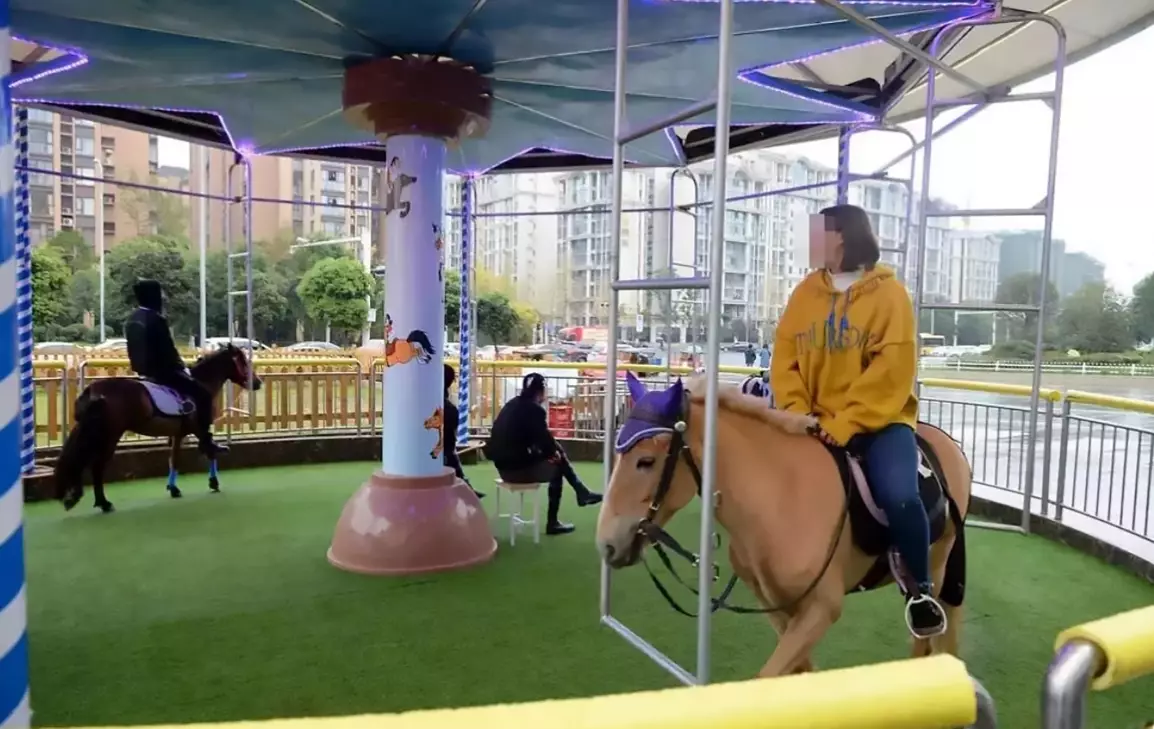 The merry-go-round's operator said it's 'not animal cruelty'.
