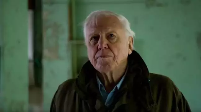 A new David Attenborough film will focus on the life of the legend himself (