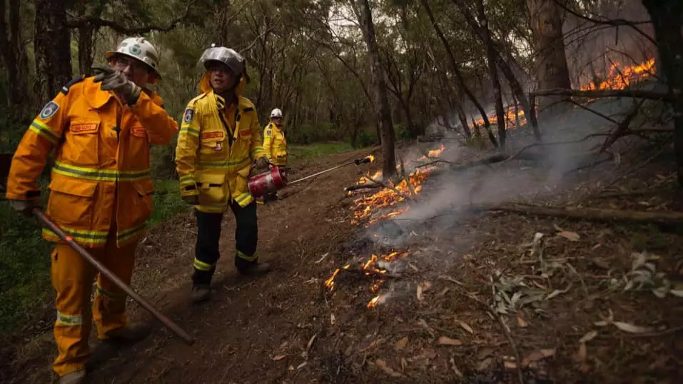 NSW Rural Fire Service Commissioner Says Hazard Reduction Burns Aren't The Silver Bullet To Bushfires