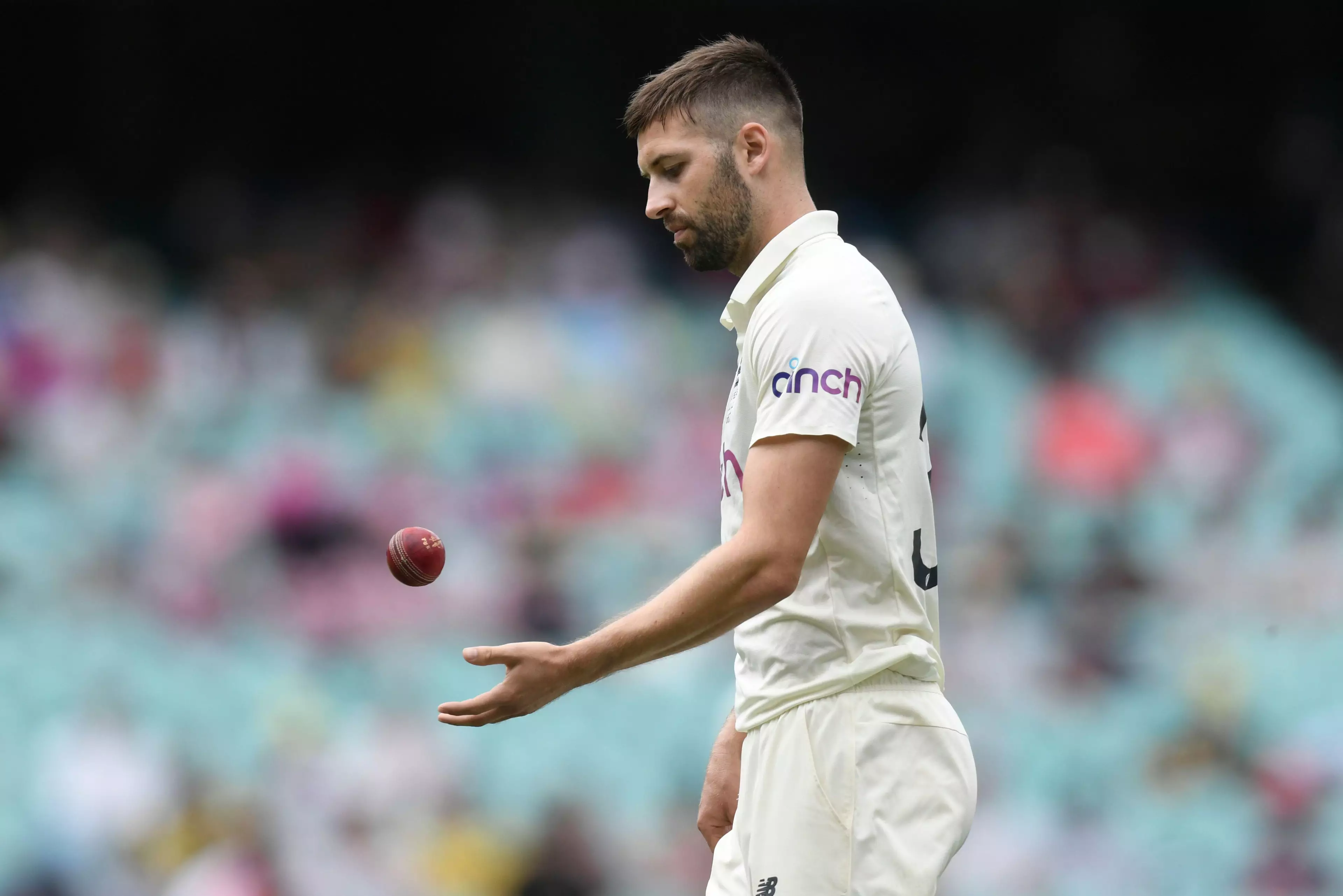 Mark Wood took 6-37 on the final day of the series.