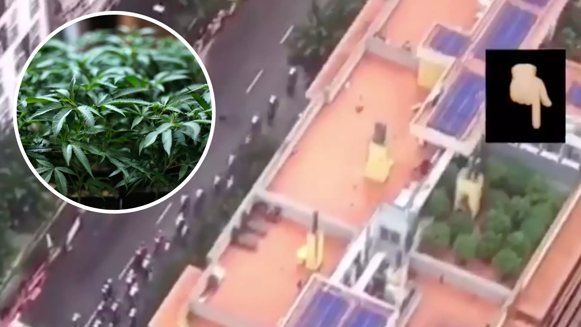 Helicopter For Spain's Vuelta A Espana Captured TV Footage Of A Rooftop Weed Farm
