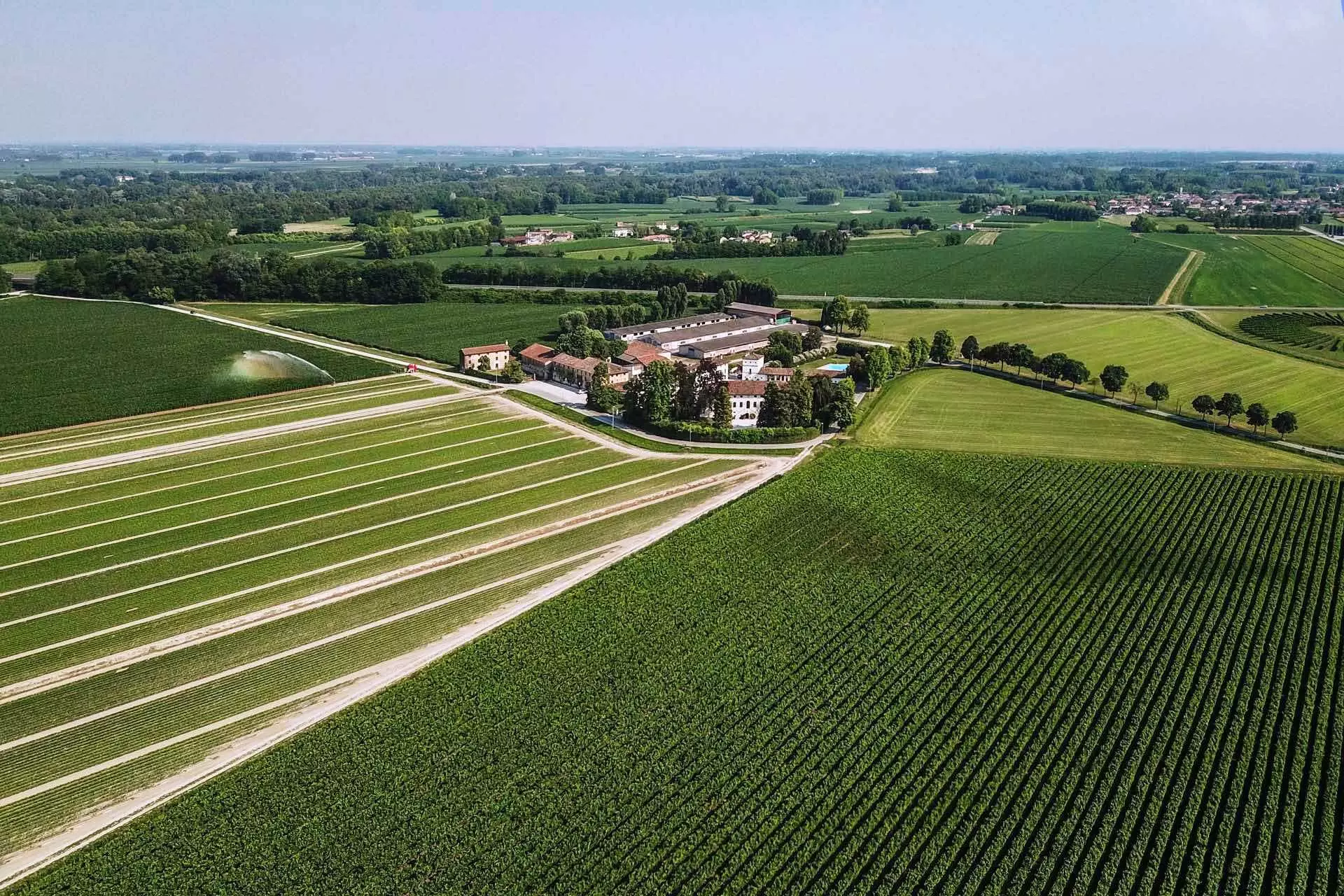 The vineyard sits on a whopping 266.9 acres of land (