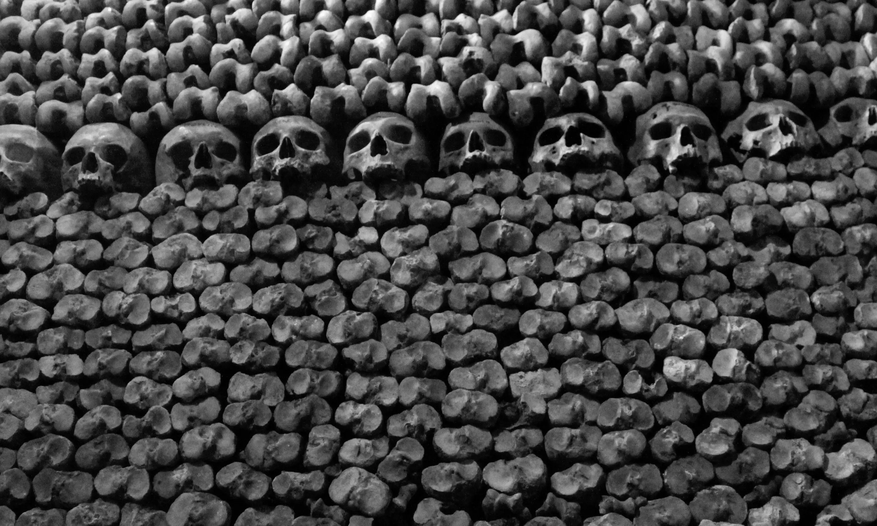Bones in Paris' catacombs