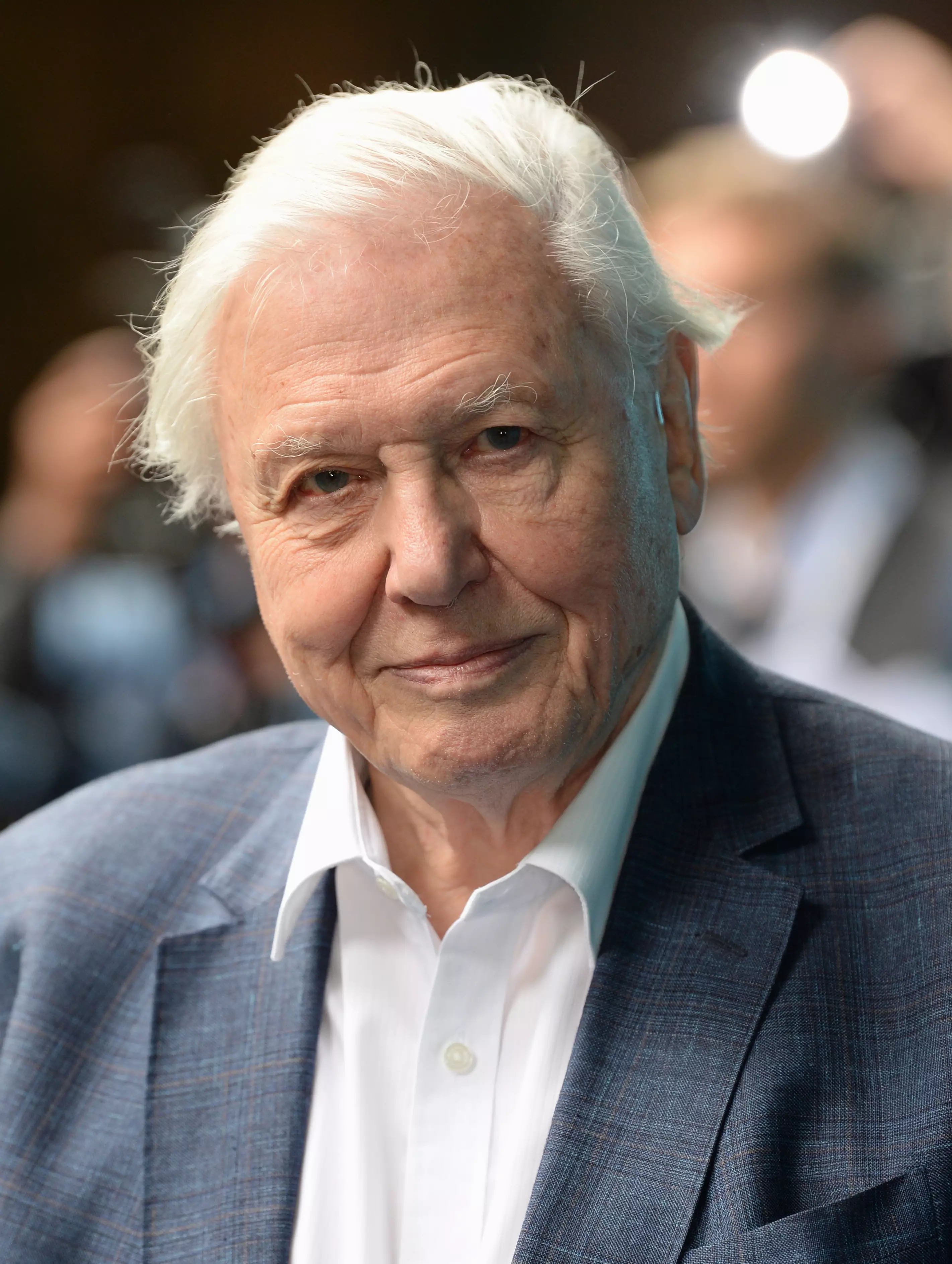 Sir David Attenborough's latest documentary has left many vowing to change their behaviour.