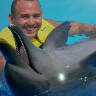 Thomas Campbell swimming with dolphins.