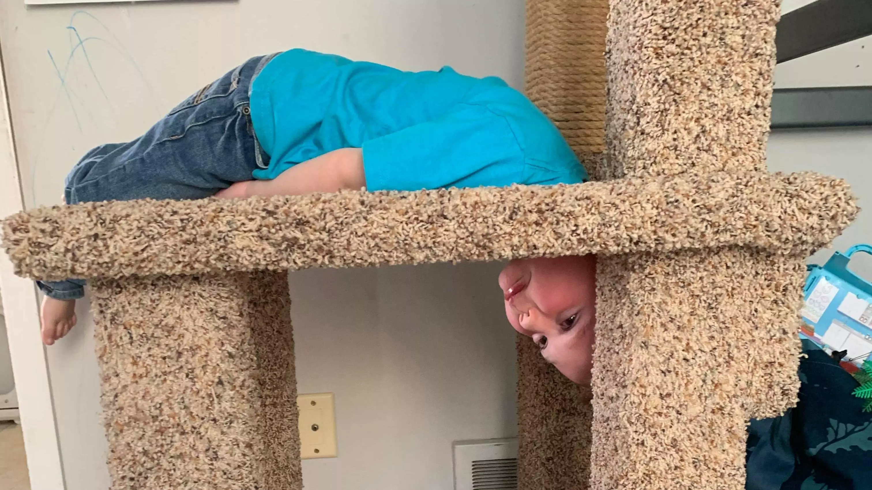 Firefighters Called To Rescue Boy Who Got His Head Stuck In Cat's Scratch Post