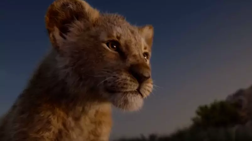 New 'Lion King' Advert Gives Fans "Goosebumps" As Beyoncé Duets With Donald Glover