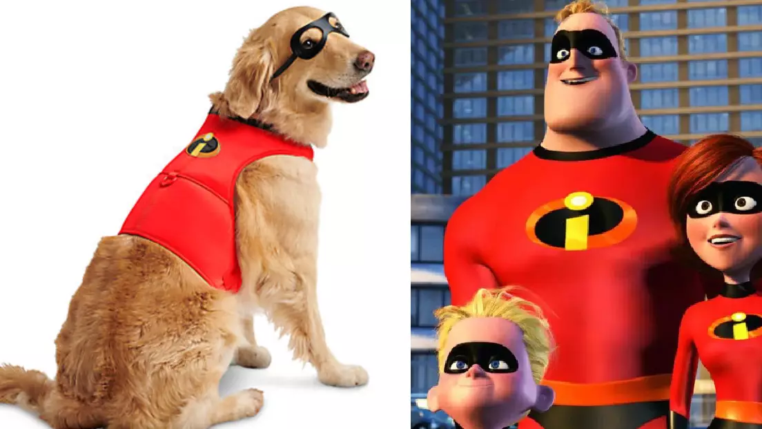 Disney Is Selling 'Incredibles 2' Costumes For Superhero Dogs