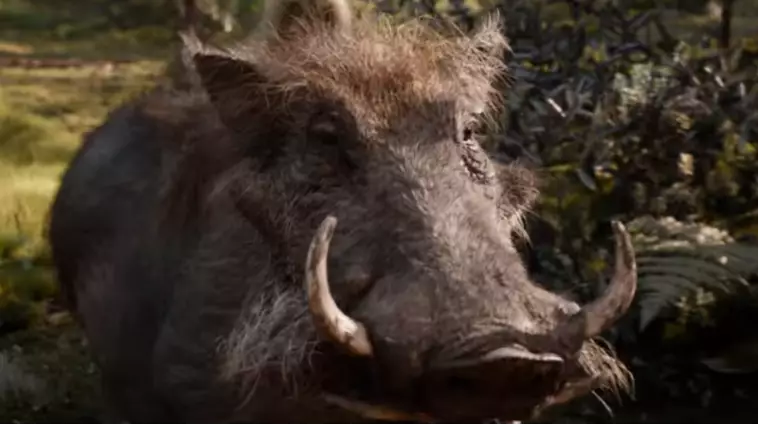 ​Some People Reckon Pumbaa Looks ‘Scary’ In The New Lion King Movie