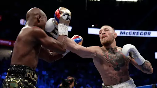 Cinema Shows 'Fight In 3D' As Brawl Erupts During Mayweather Vs McGregor