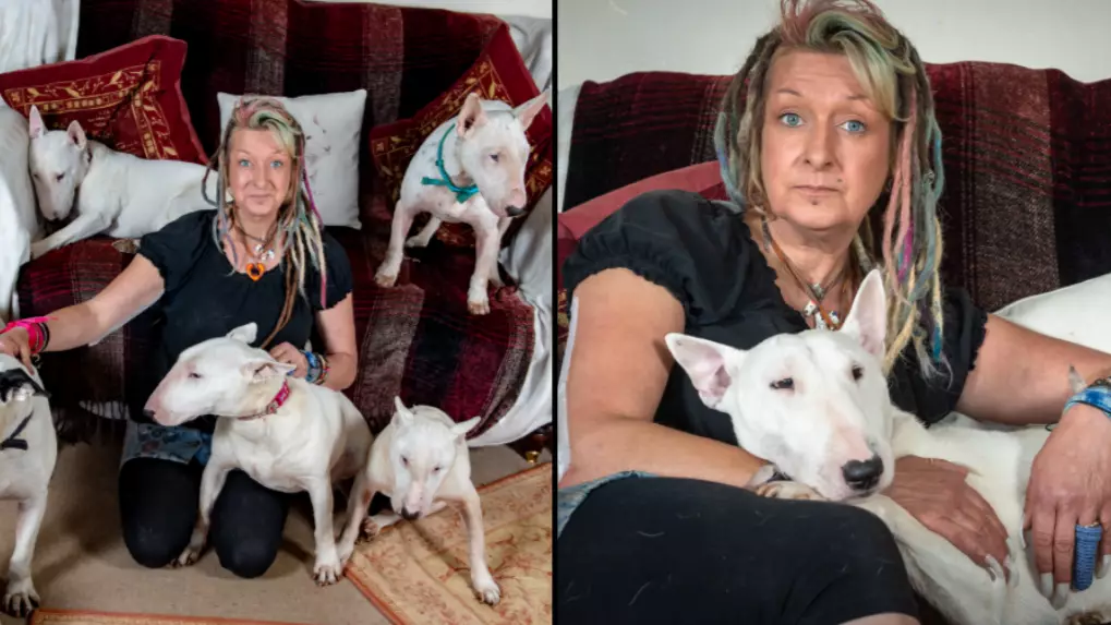 Husband Tells Wife 'It's Me Or The Dogs', She Chooses The Dogs