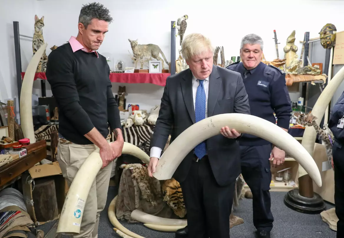 Kevin Pietersen and former Foreign Secretary Boris Johnson during a visit to the Heathrow 'dead shed' to see seized ivory and rhino horn, and other items relating to the illegal wildlife trade