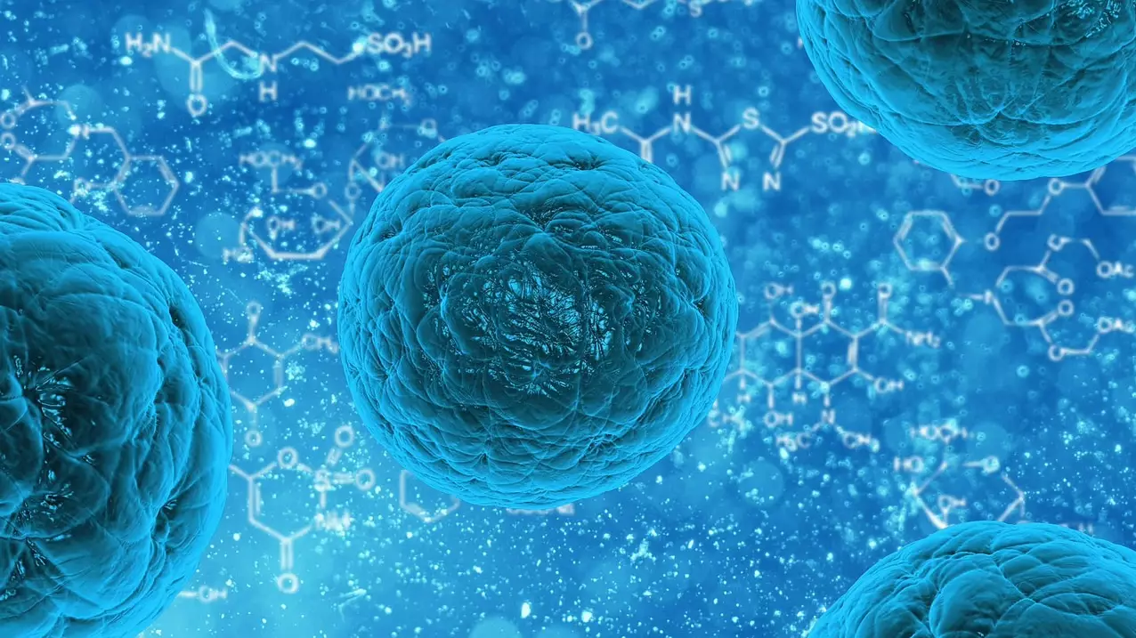 Scientists Use Stem Cells To Create Embryo Without Sperm Or Egg