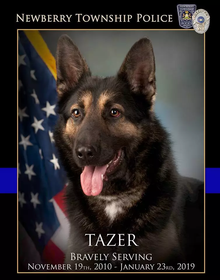 The force showed the utmost respect for Tazer as he was put to rest.