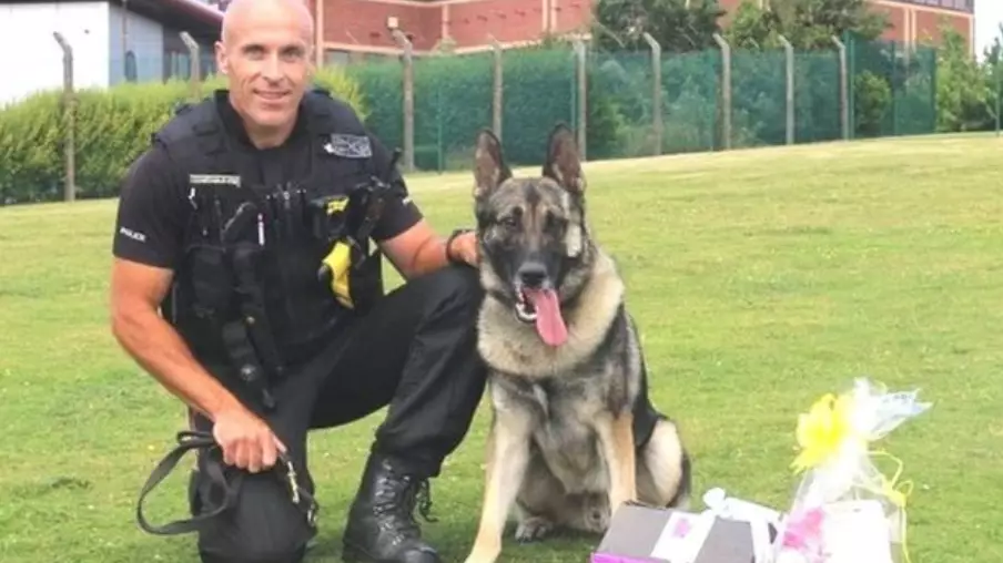 Man Who Stabbed Police Dog In The Head Becomes First To Be Jailed Under Finn's Law