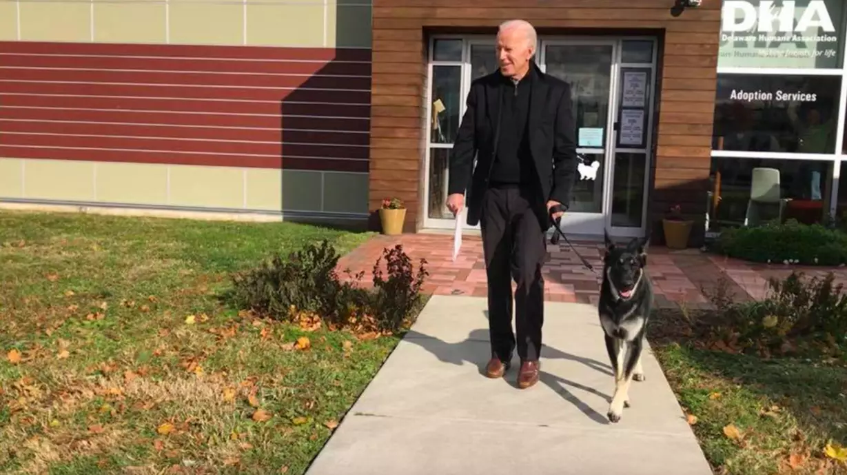 Biden has two German Shepherds - one of which, a rescue pup (