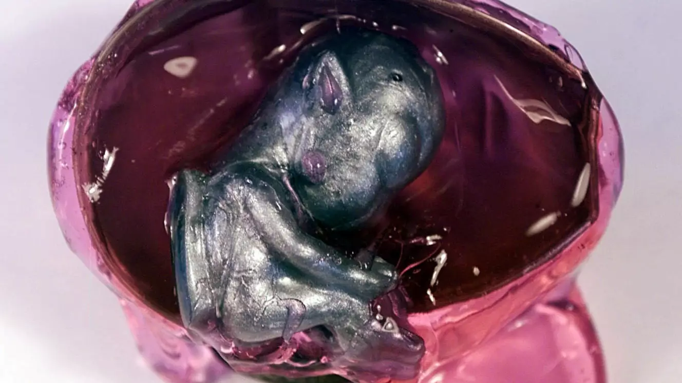 Woman Says She's Been Impregnated By An Alien From The Year 3500