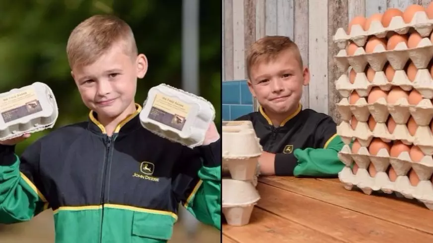 Eight-Year-Old Set To Make '£13K A Year From Egg Business'