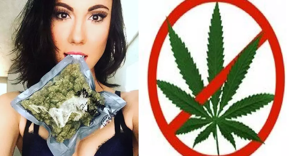 ​'Parents Opposed To Pot' Lists Reasons Not To Date A Stoner