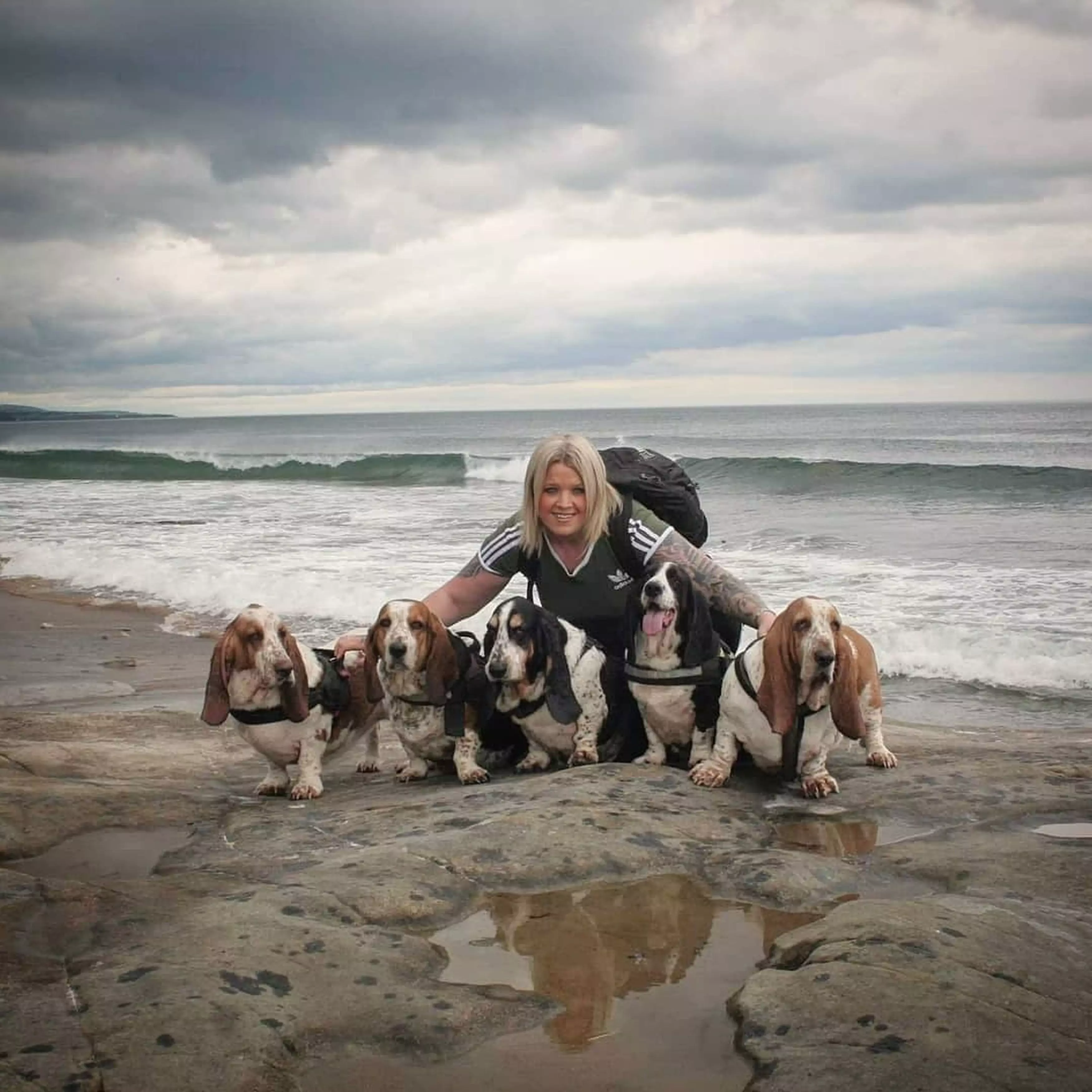 Sara has five basset hounds - only one has ever found a massive dildo.