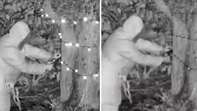 Elderly Woman Sneaks Into Neighbour's Garden And Cuts Down Christmas Lights