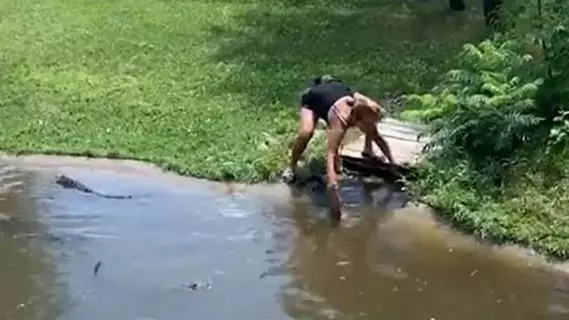 Moment Mother Climbs Into Alligator Pit With Young Son To Retrieve Her Wallet