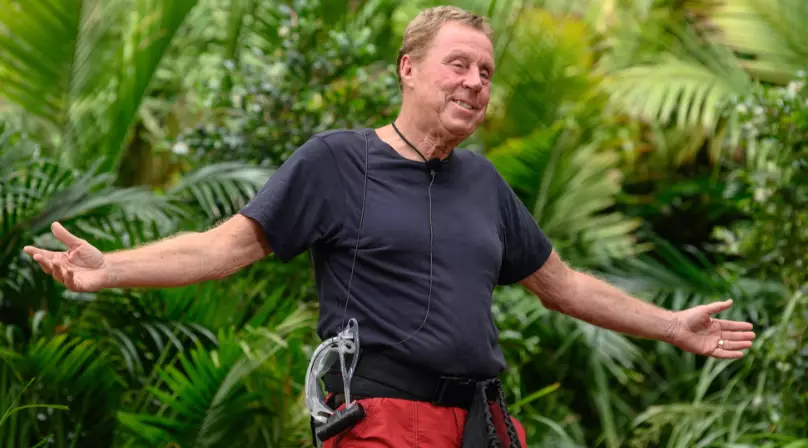 King of the Jungle Harry Redknapp was also in the top 10.