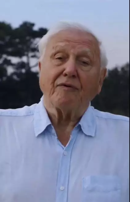 Sir David Attenborough used the account to promote his Netflix documentary (