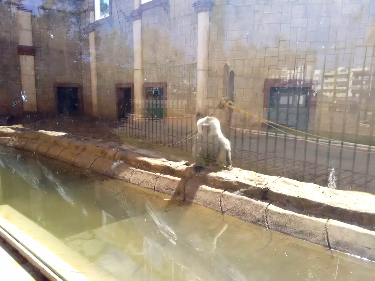 The zoo reportedly closed following a number of deaths and complaints from activists.