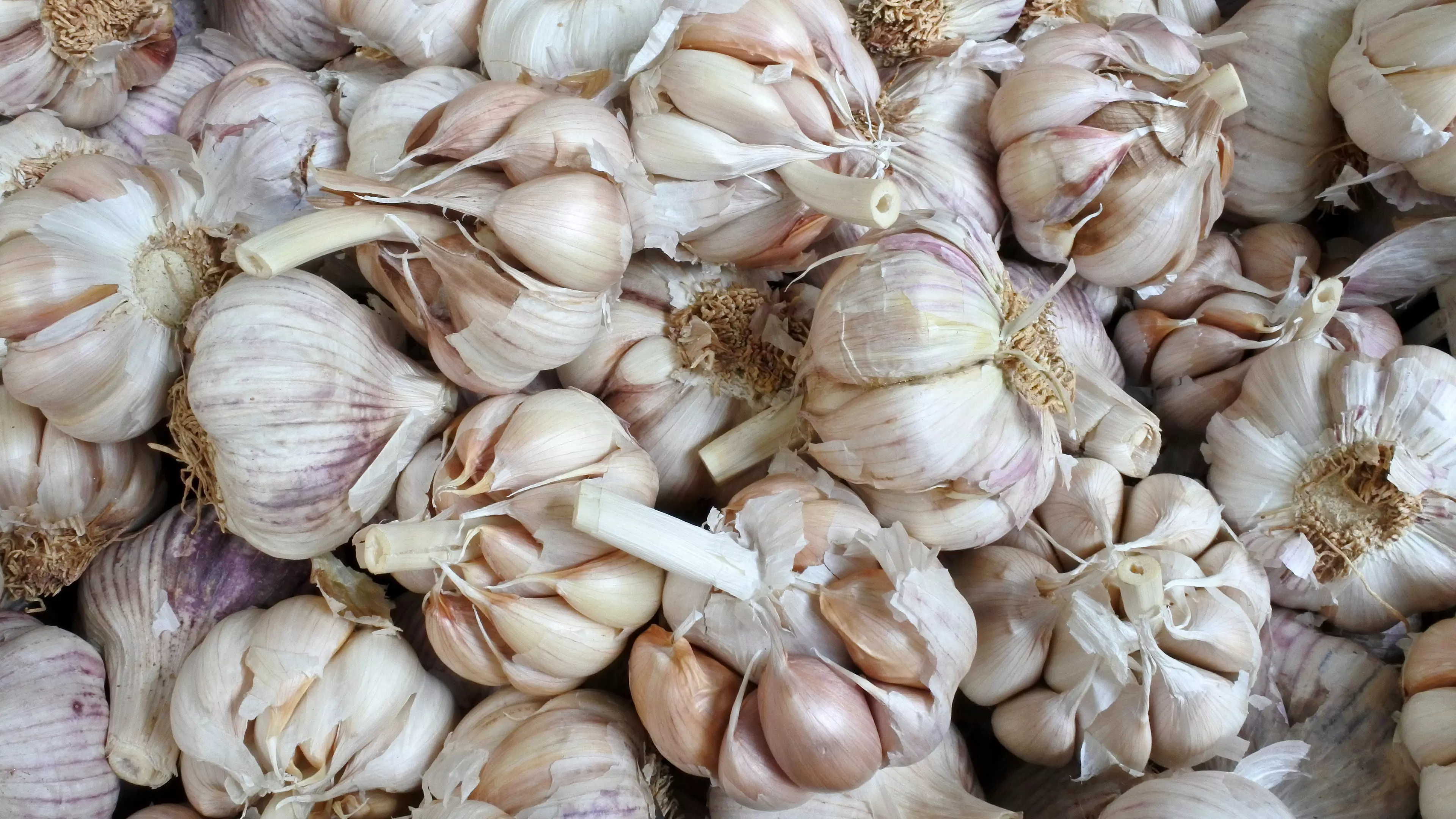 Gynaecologist Warns Women Not To Put Garlic In Their Vaginas