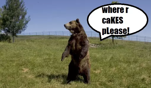 Bear Falls Through Ceiling Into Child's Party, Eats All The Cake