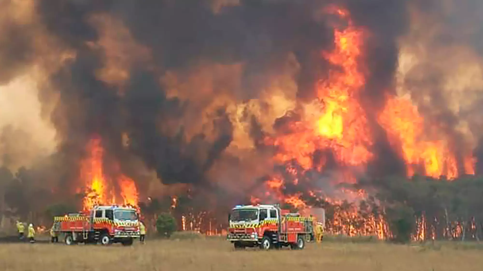 Residents Warned To Evacuate As Two Large Bushfires Are Set To Merge 