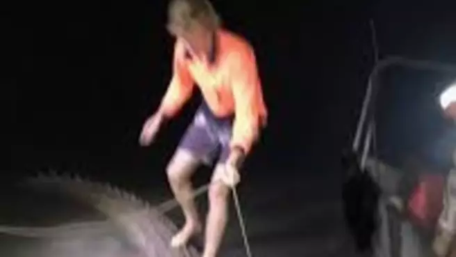 Aussie Tradie Seen Riding Huge Crocodile Like A Surfboard