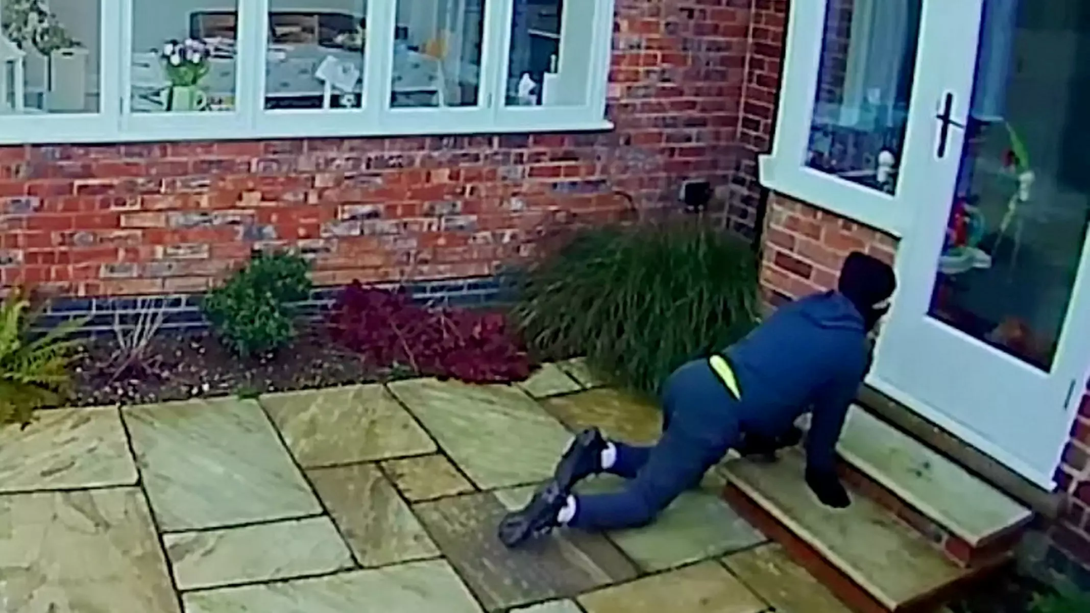Would-Be Burglar Comes Face-To-Face With Cat Before Triggering Alarm 