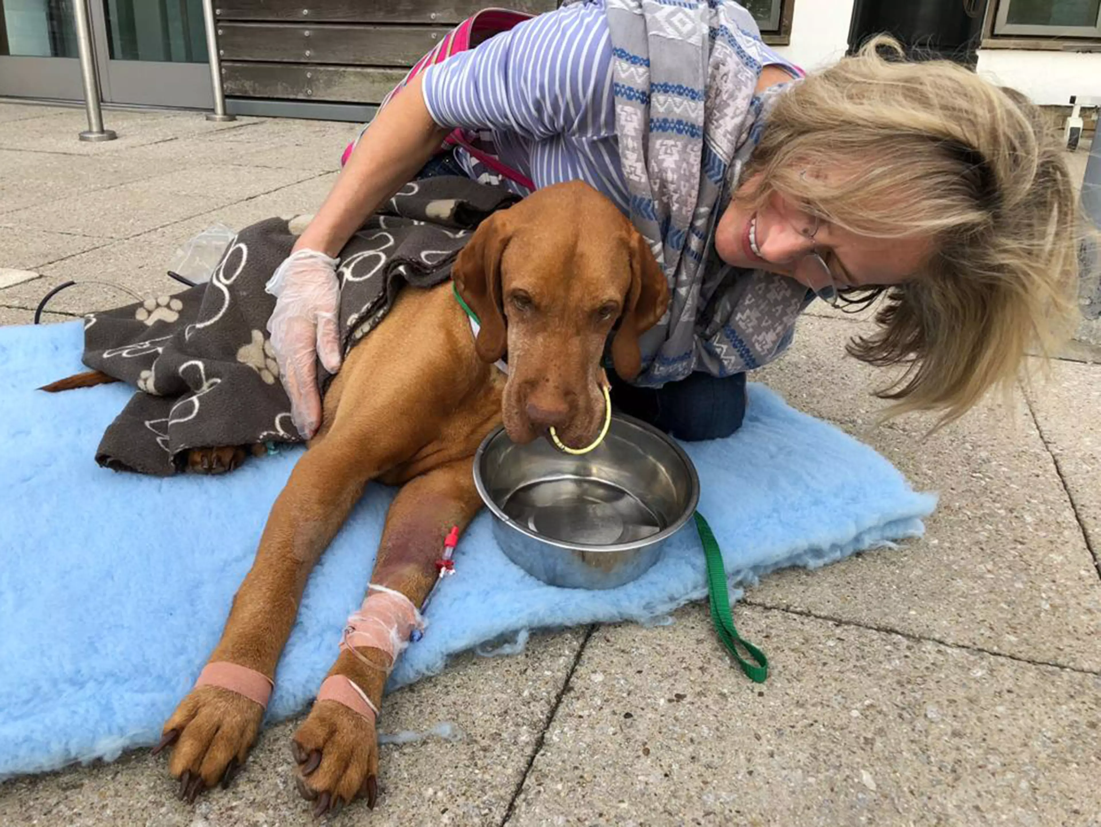 Ruby's owners spent £10,000 trying to save her.