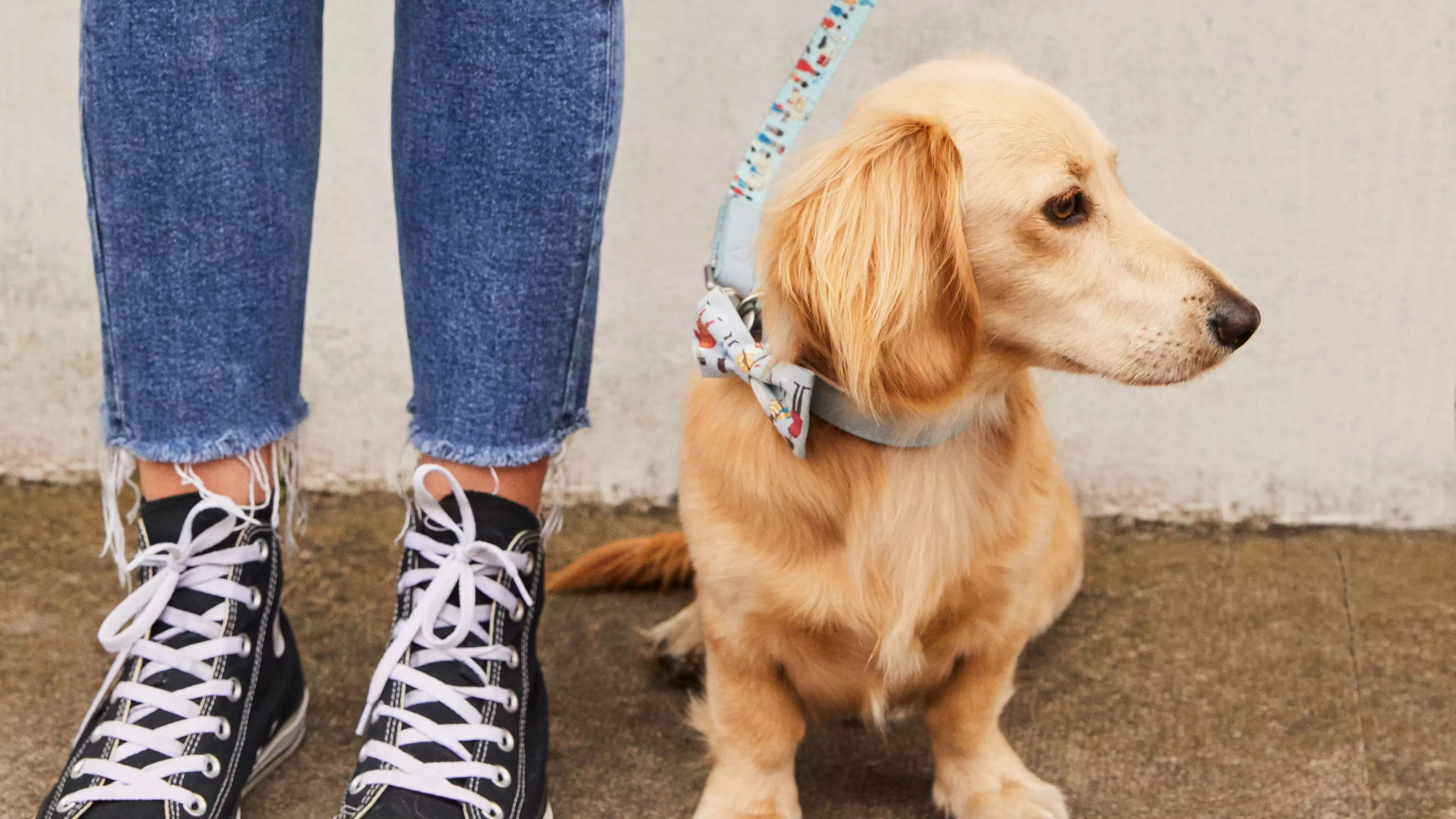 Cath Kidston Is Looking For Dogs To Model Its Latest Collection