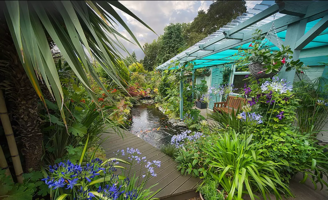 David and Sandra have transformed their back garden into their 'tropical fantasy'.