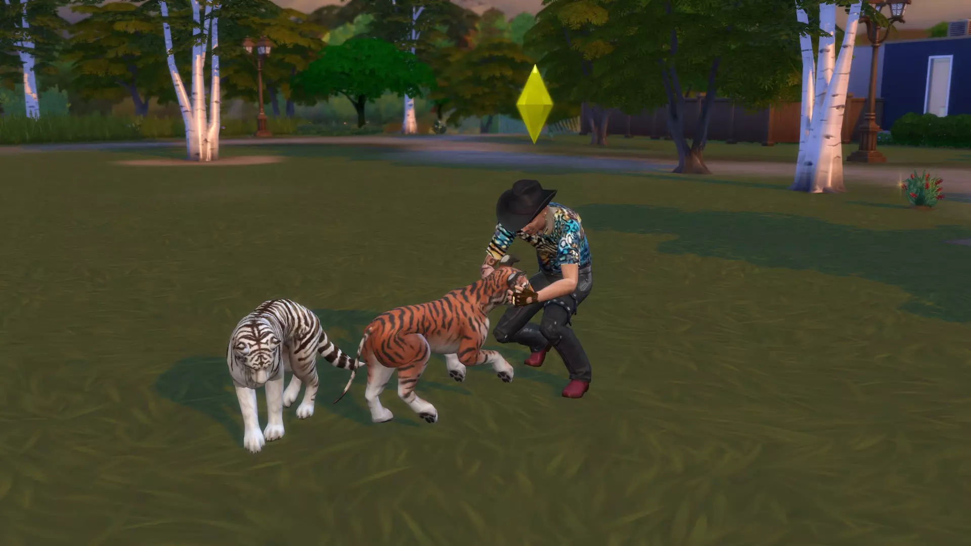 Kari even created 'tigers' for Joe, simply giving dogs tiger stripes (