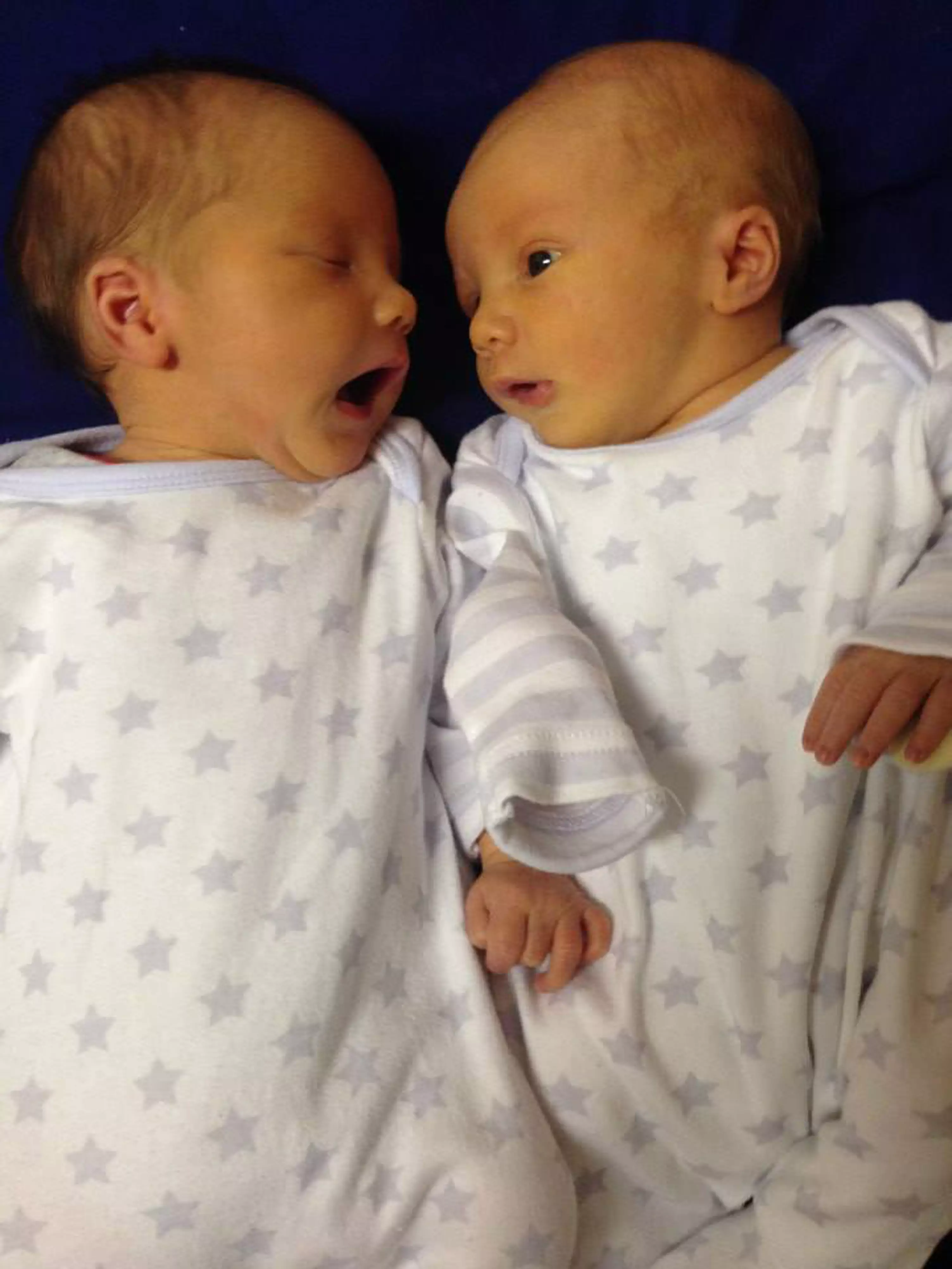 Freddy and Olly were born in November 2014 and are now at school (