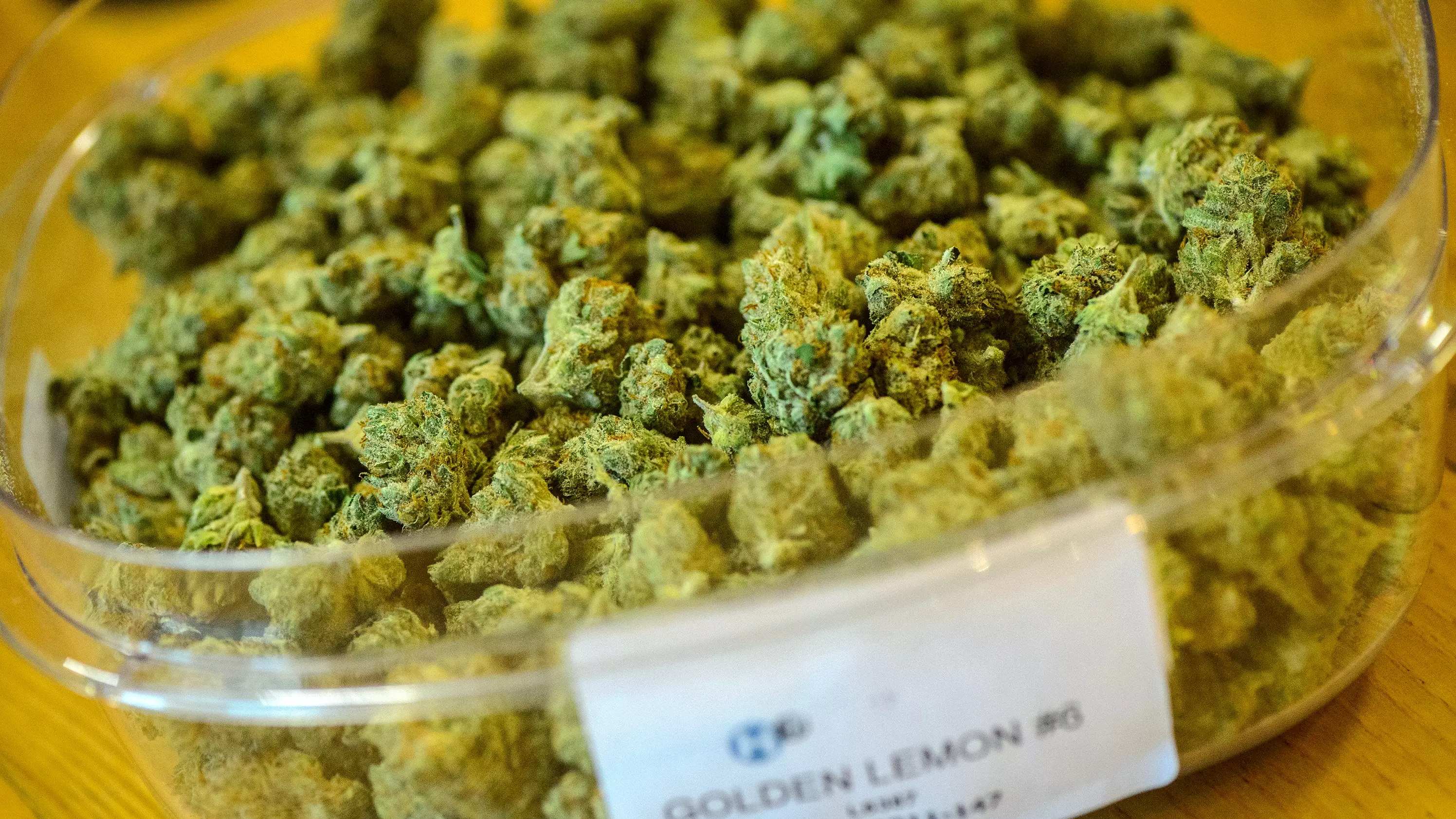 Legalising Cannabis In Australia Could Create $1 Billion In Tax Revenue, Says Expert