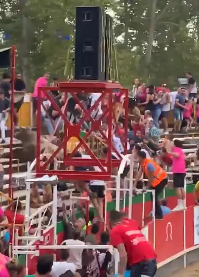 The panic in the stands as the bull charged.