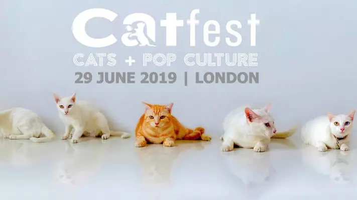 A Festival Dedicated To Cats Is Returning To London In 2019