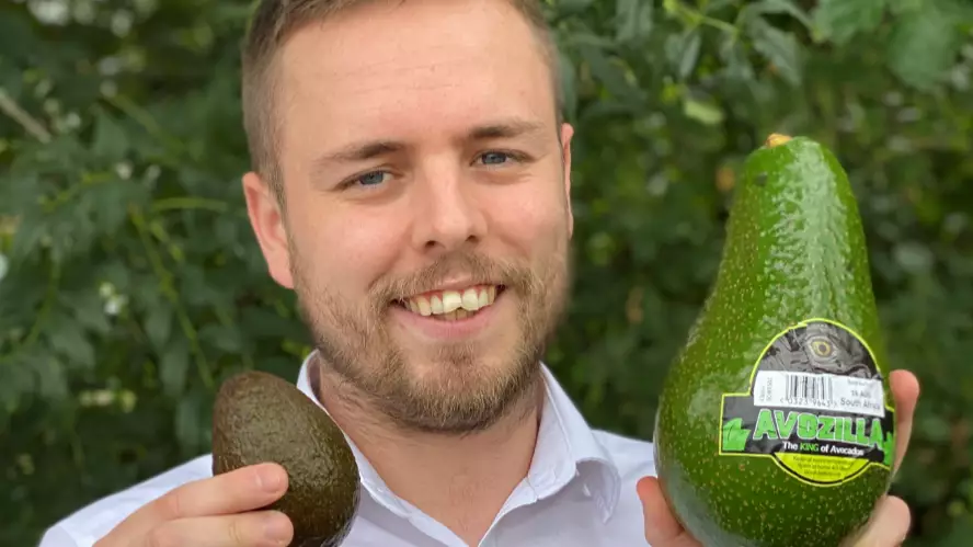 Giant 'Avozilla' Avocados Are Hitting UK Supermarket Shelves Tomorrow
