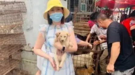 Chinese Markets Sell Dog Meat Ahead Of Festival Despite New Guidelines Classifying Dogs As Pets