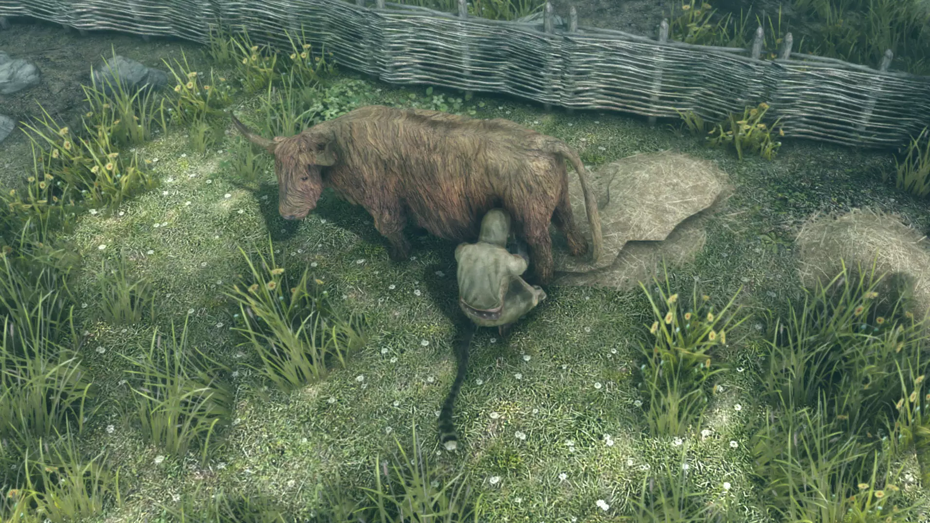 At Last, You Can Milk The Animals In 'Skyrim'