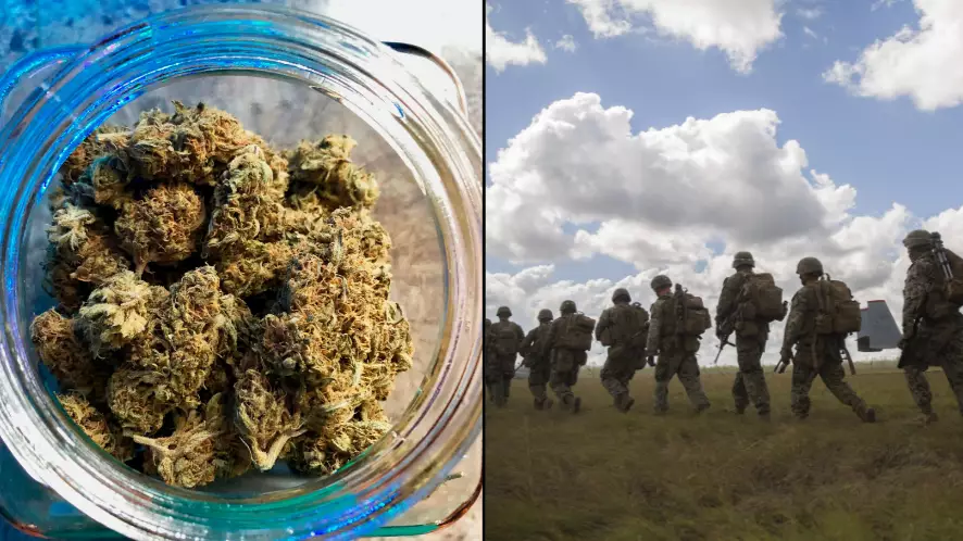 Aussie Veterans With PTSD To Get First Ever Medicinal Cannabis Trial