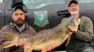 Fisherman Breaks Record For Largest Lake Trout Caught In New England